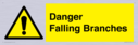 danger-falling-branches~